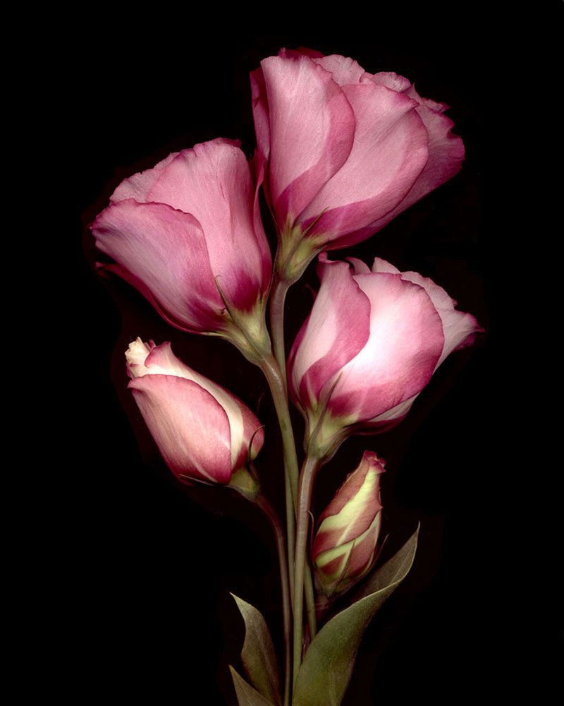 925547941304340cfddb7ad5dce0ef81